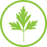 Blatt Icon Blatt Icon